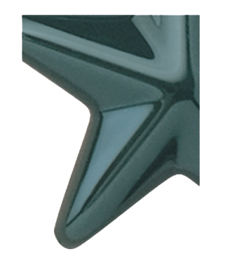 Image of Gemini formed plastic letter using Number 2162 Hunter Green CAB Renewal Plastic.