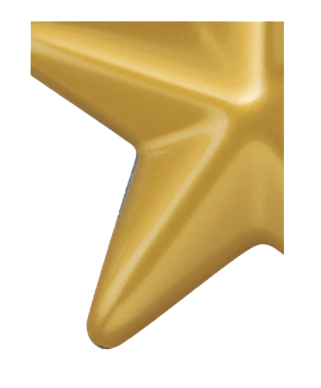 Image of Gemini formed plastic letter using Number 6371 Yellow Gold CAB Renewal Plastic.