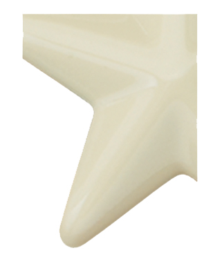 Image of Gemini formed plastic letter using Number 2718 Ivory CAB Renewal Plastic.