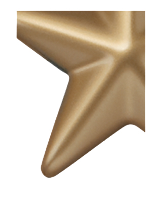 Image of Gemini formed plastic letter using Number 2756 Metallic Gold CAB Renewal Plastic.