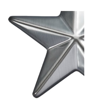 Image of Gemini formed plastic letter brushed chrome CAB Renewal Plastic.