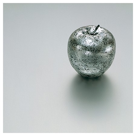Image of Number 796 Special Order Gemini Stainless-Steel-Aluminum metal laminate.